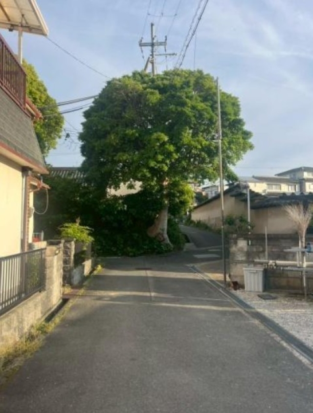 大阪府堺市中区陶器北売地の不動産情報です。